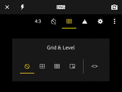 Bedekkingsopties voor beeldzoeker in Adobe Photoshop Lightroom CC voor mobiele apparaten