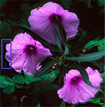 Photoshop Noise artifacts