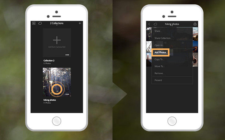 Add pictures from your phone