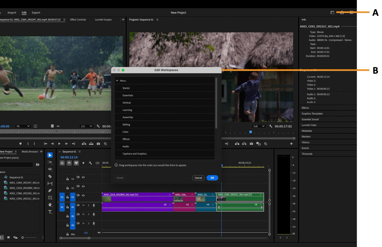 Premiere Pro interface showing the Edit Workspaces window with workspace names and visibility options.
