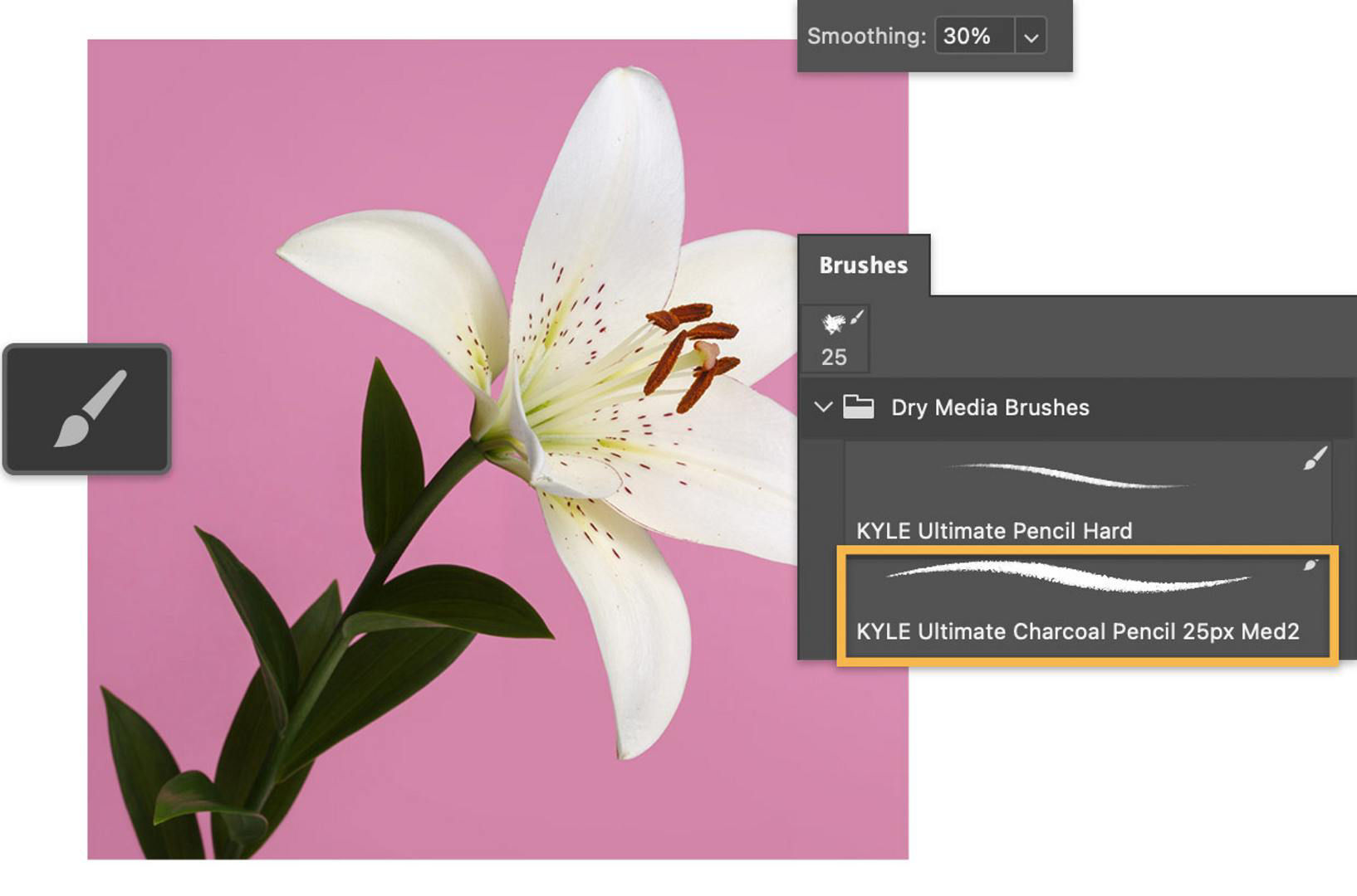 A photograph of a flower is displayed behind the Brush panel. The Dry Media Brushes folder is open and the KYLE Ultimate Charcoal Pencil is highlighted with a yellow box. The Brush tool icon is displayed as well as the Smoothing option set to 30%.