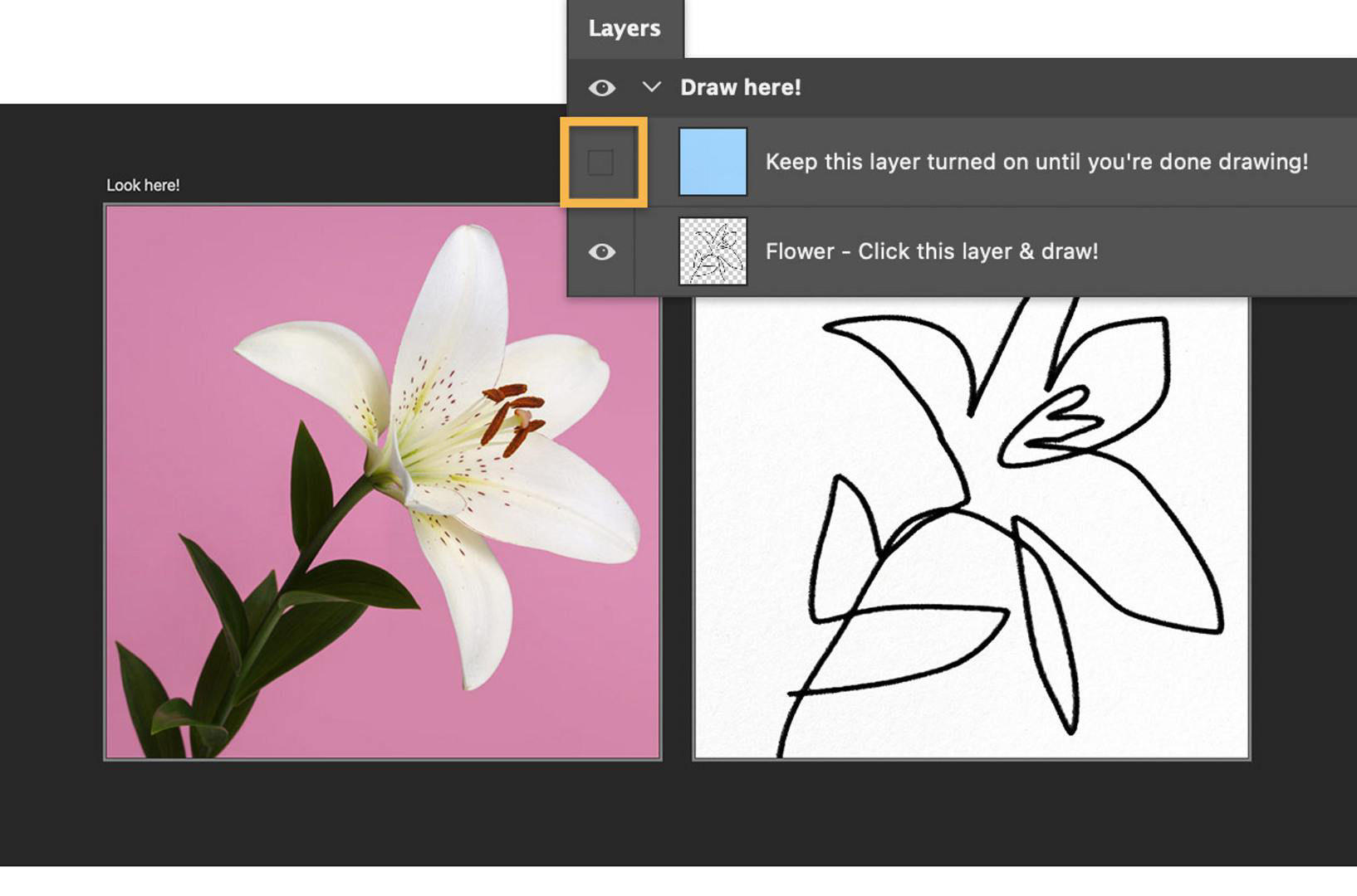 A photograph of a flower is shown next to a blind contour drawing of it. A portion of the Layers panel is displayed with the Keep this layer turned on until you’re done drawing! layer visibility Eye icon turned off and highlighted with a yellow box.