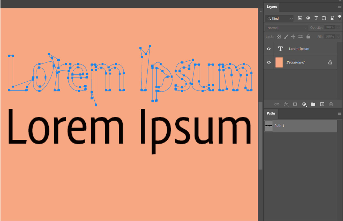 A sample document showing a work path with anchor points and a text layer. The Layers and Paths panels are open.