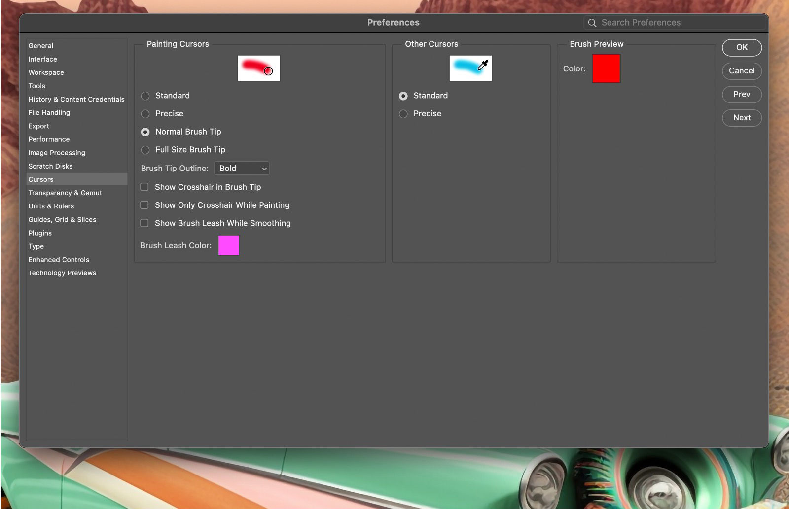 A sample document showing the Cursor options in the Preferences panel.