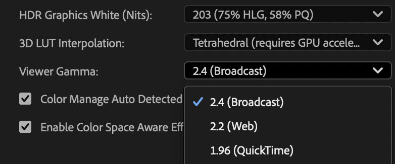 Viewer Gamma options in the Project section of the Settings tab of the Lumetri Color panel