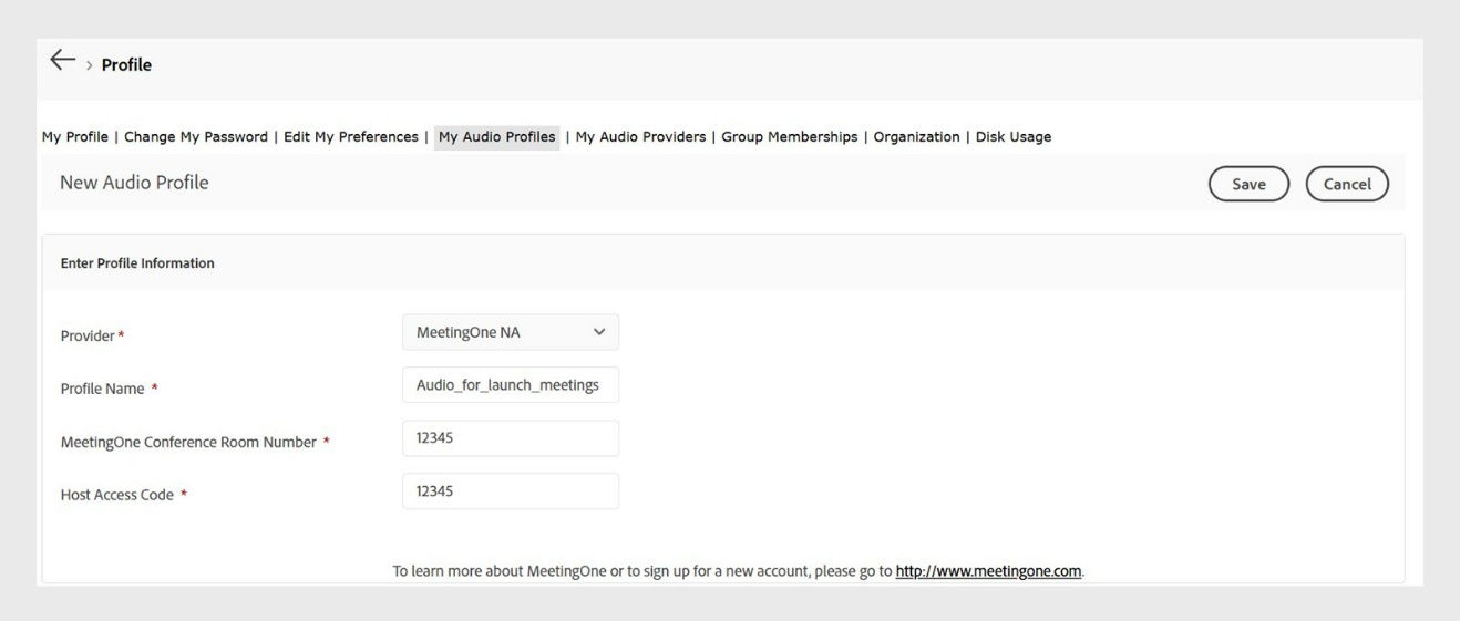 New Audio Profile window showing the options for profile information
