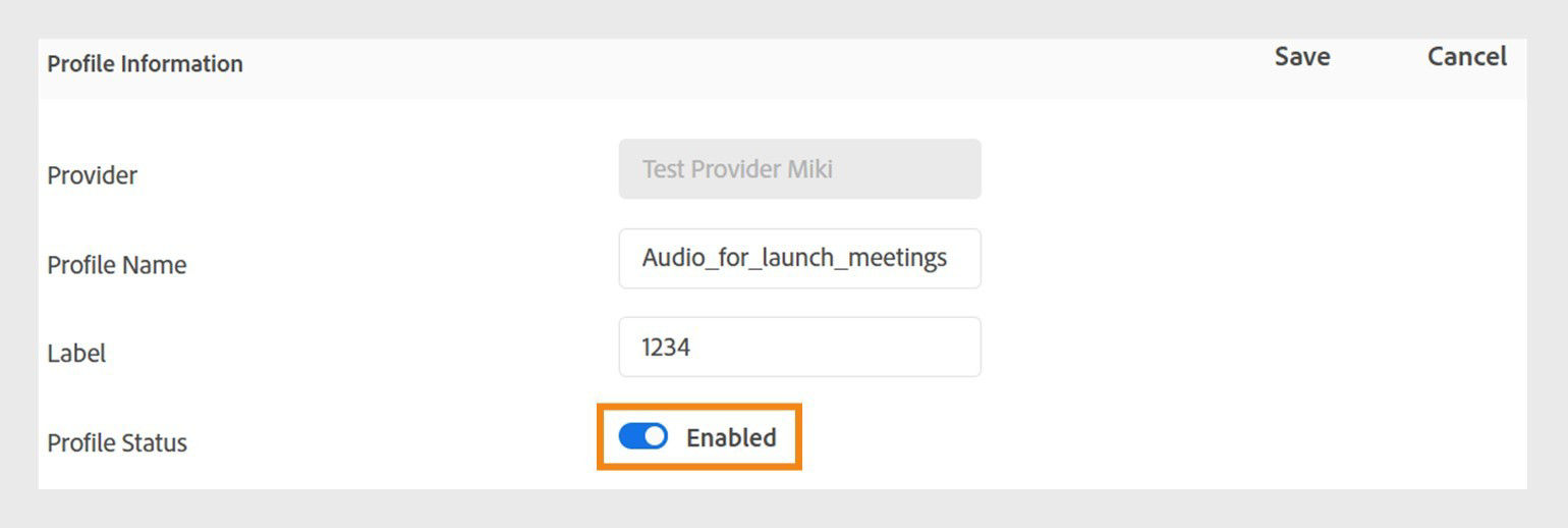Edit profile interface showing the options for turning the audio profile on or off