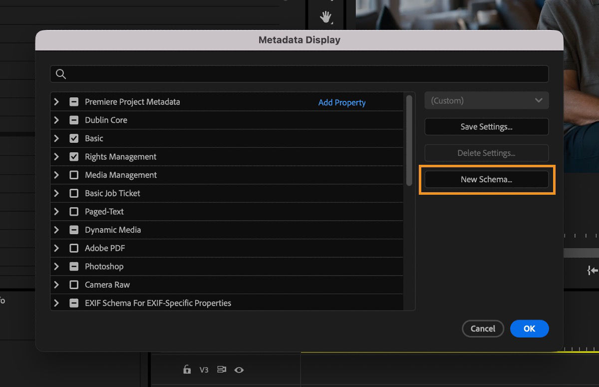 A screenshot of a computerMetadata Display dialog showing the New Schema button used to create a custom metadata schema.