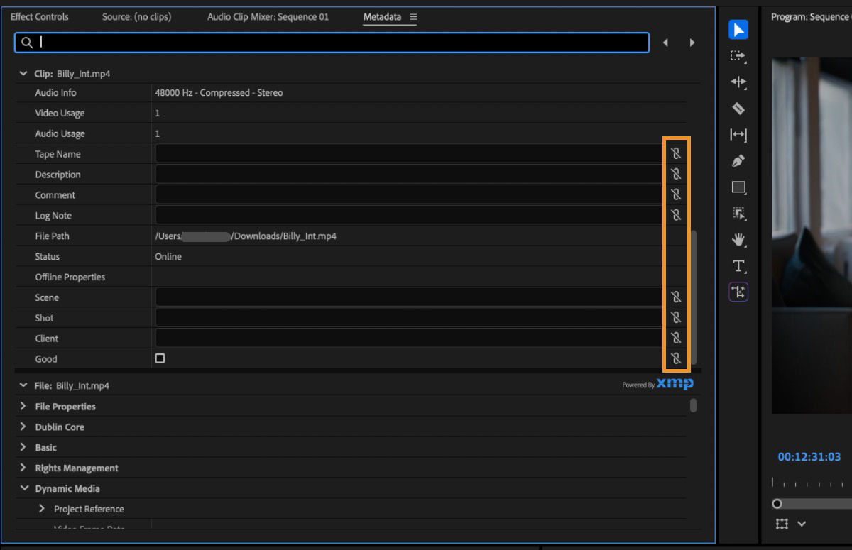 Metadata panel showing link icons used to connect clip data fields to XMP metadata.