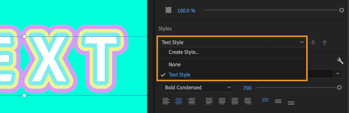 Screenshot of the Styles drop-down in the Project panel.