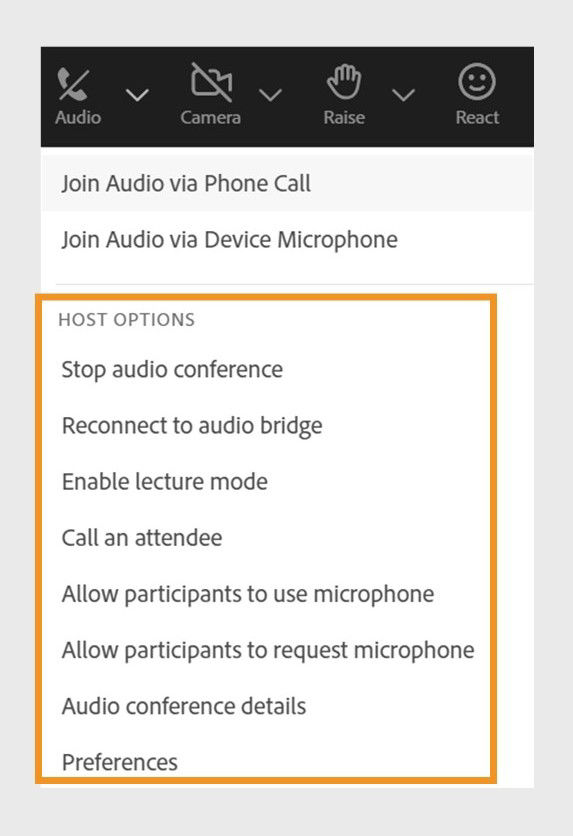 Audio menu in the top bar showing the host options
