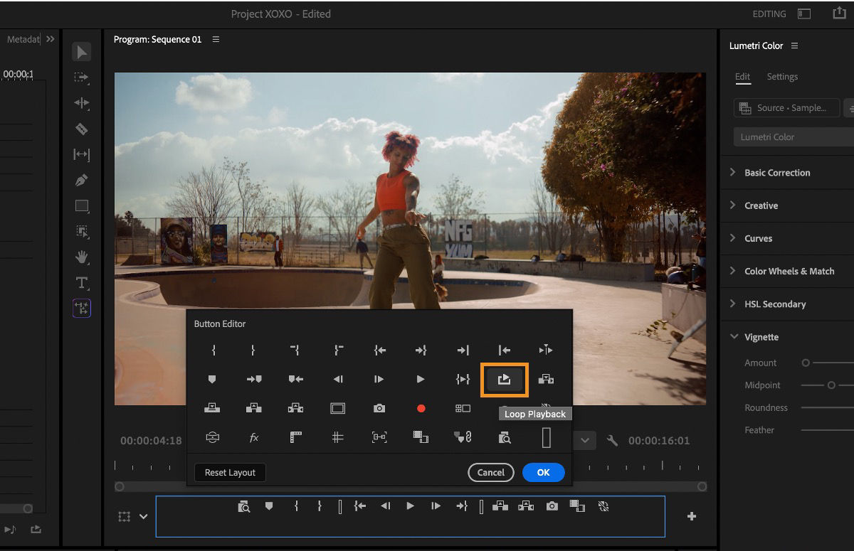 Button Editor dialog showing the Loop Playback icon that can be added to the Program Monitor toolbar.