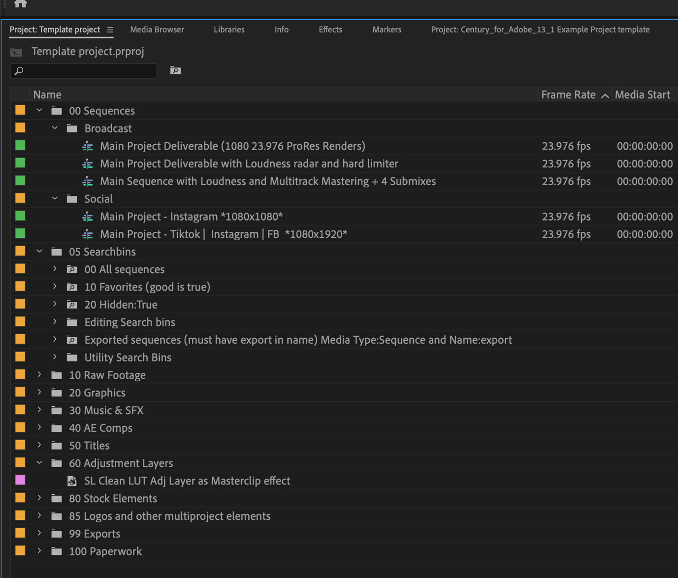 A view of project template files in the Project panel.