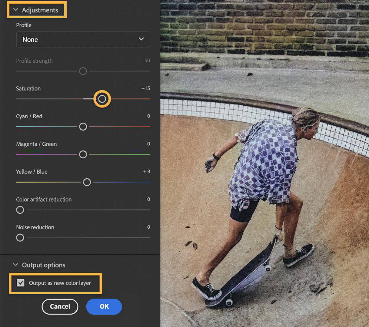 Adjustments in the Neural Filters panel have been applied and the “Output as a new color layer” box is selected.