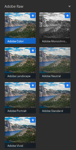 Adobe Raw 配置文件