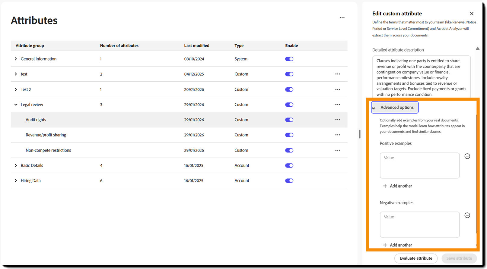 The attribute definition highlighting the Advanced options