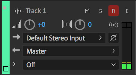 Arm track for record