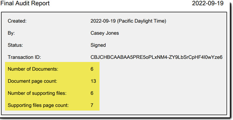 Document counts in the audit report