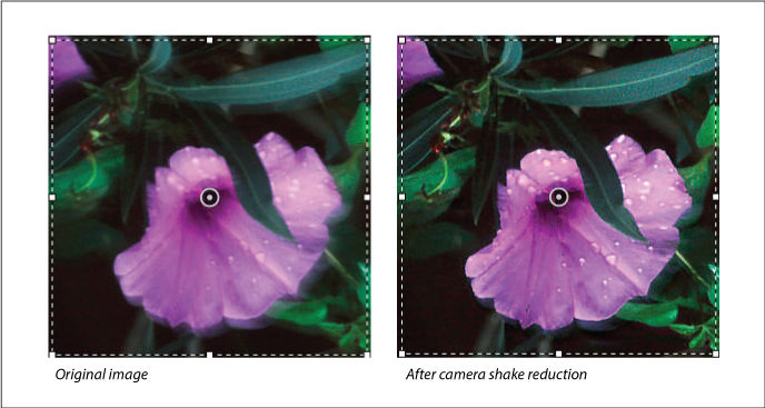 Photoshop camera shake reduction