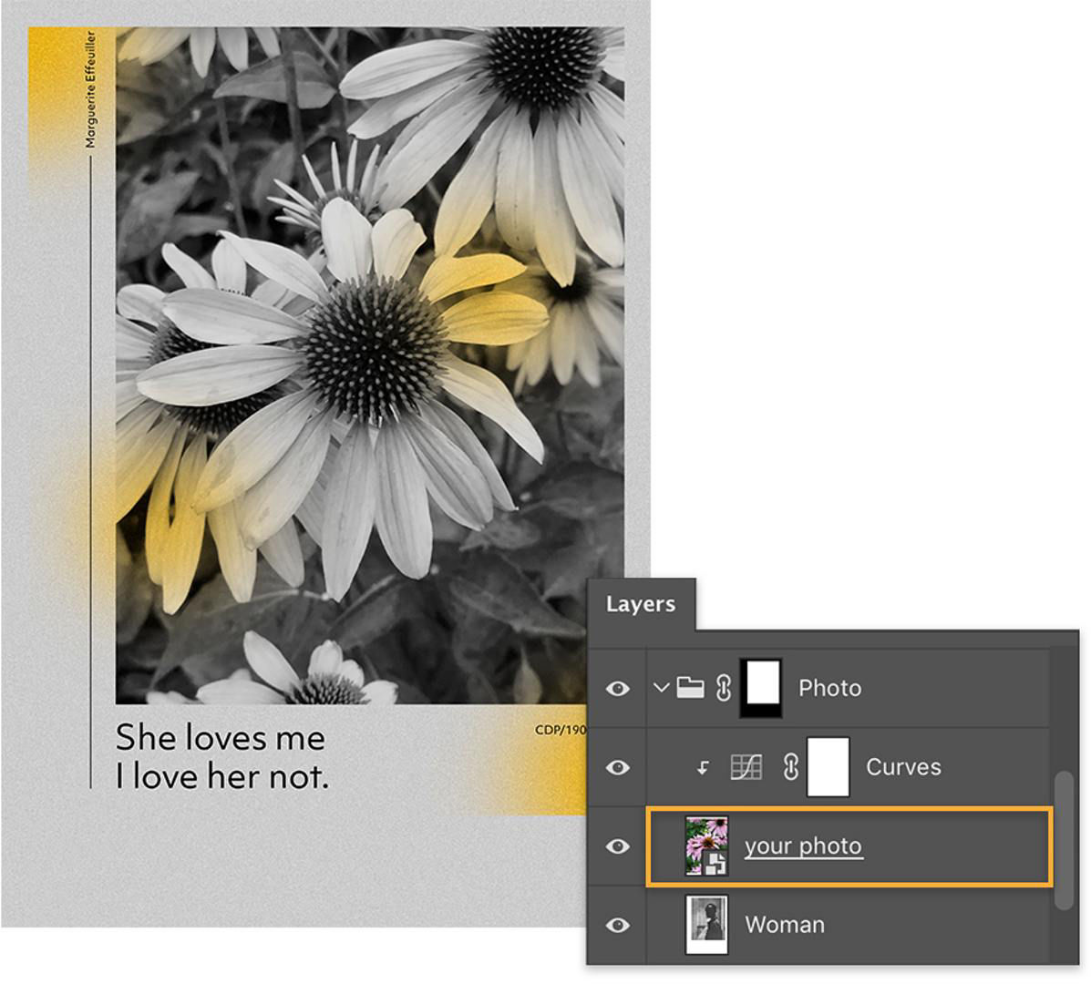 Book cover now has a black and white picture of daisies, the flower photo is highlighted on the Layers panel.