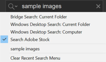 search-adobe-stock