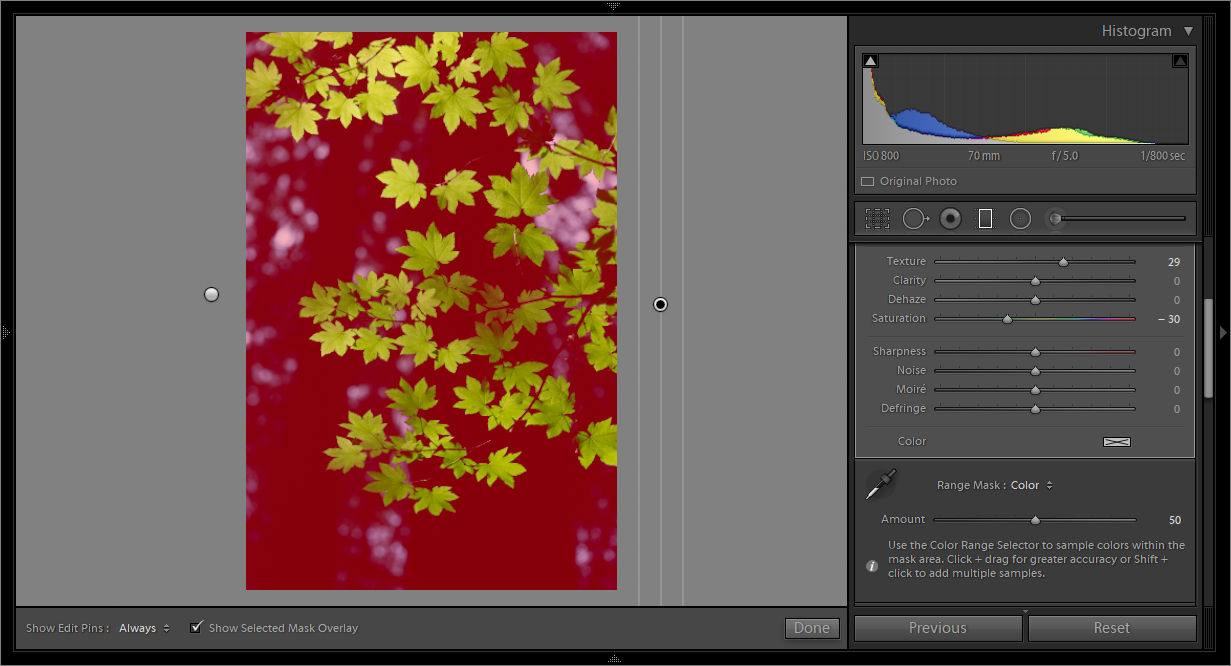 A Color Range Mask covering the background tones in the photo.