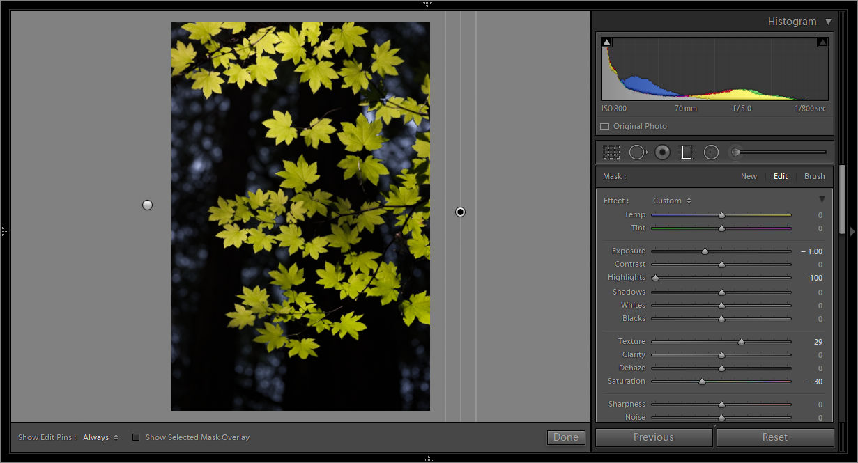 Local adjustments applied to the color mask.