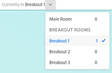 Choose the Breakout Room