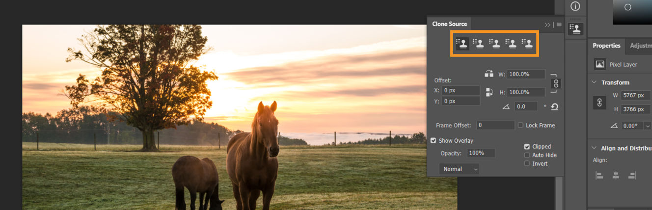 Clone Source panel with icons to select up to five different clone sources.