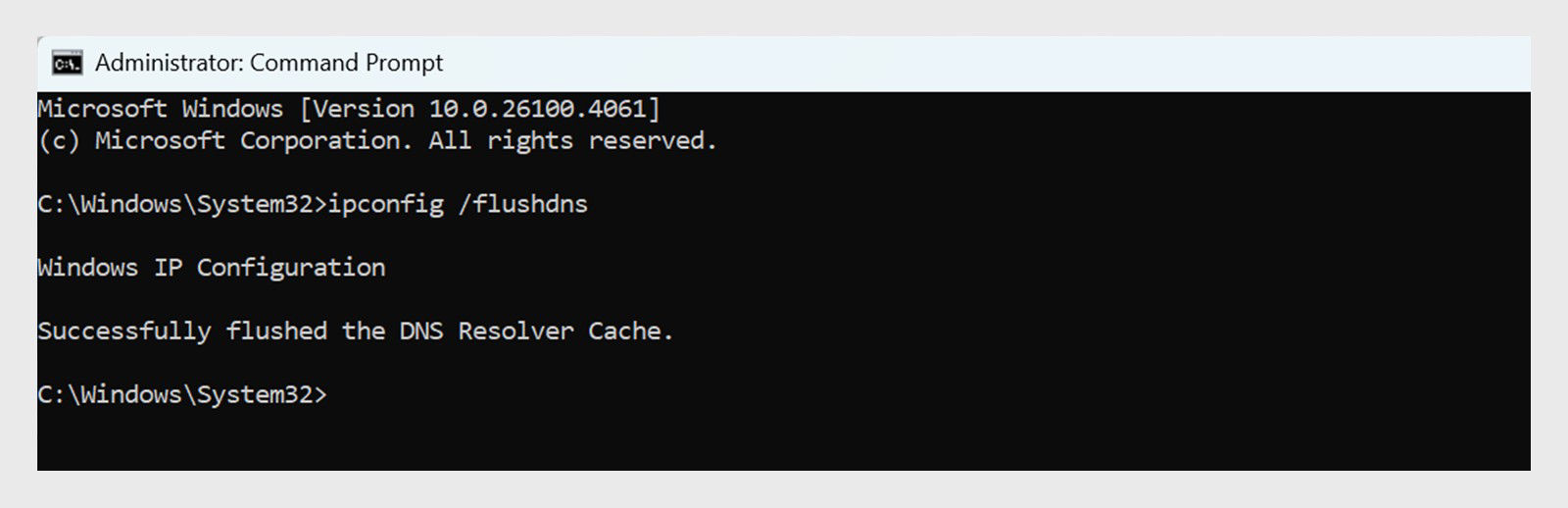 Command prompt window displays the command run and the success message 'Successfully flushed the DNS Resolver Cache.'