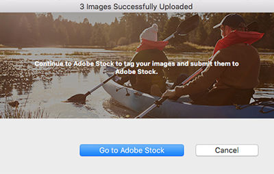 Images Successfully Uploaded dialog box