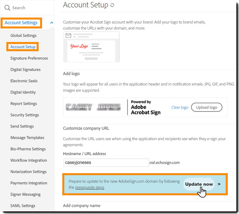 The Account Settings page highlighting the "Update now" button for the domain update.