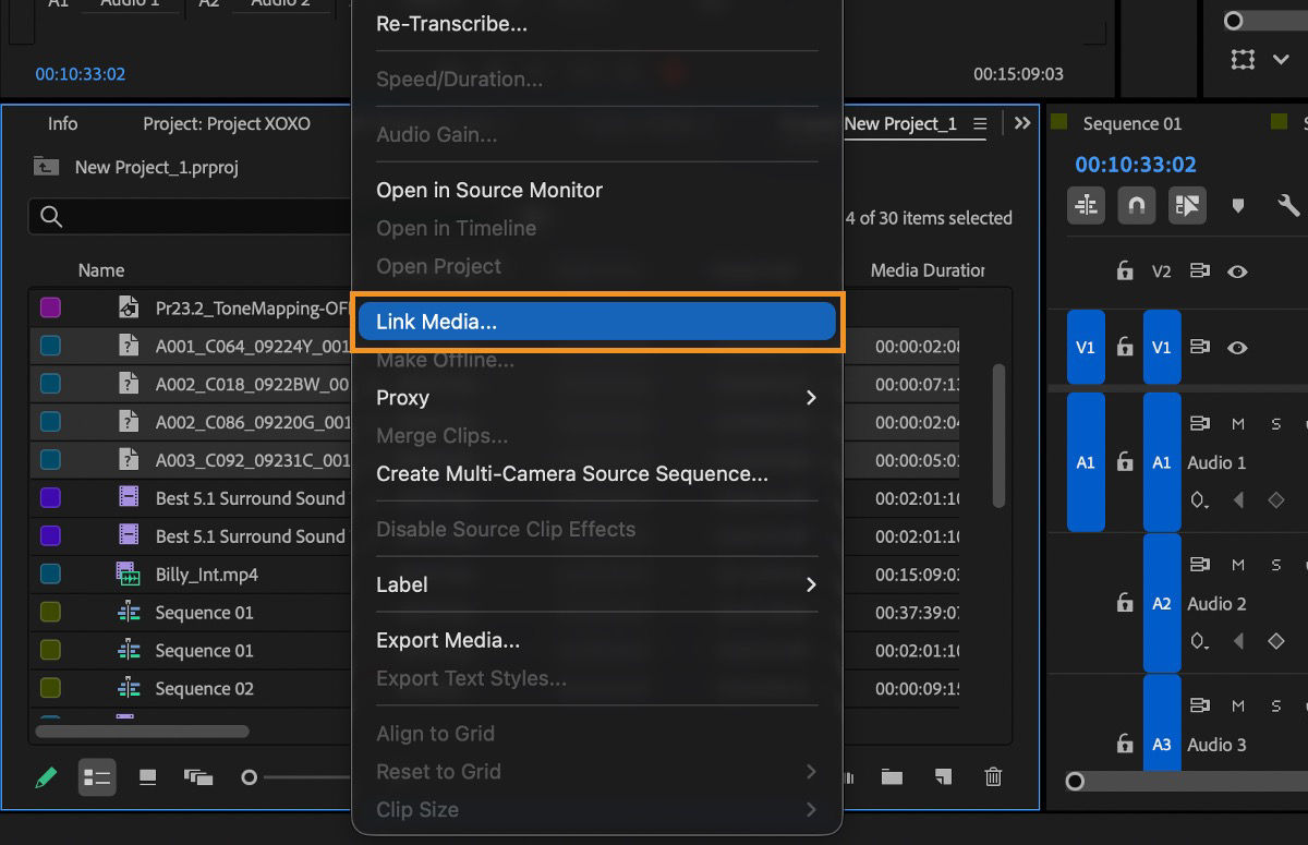 Context menu with Link Media highlighted for selected offline clips in the Project panel.