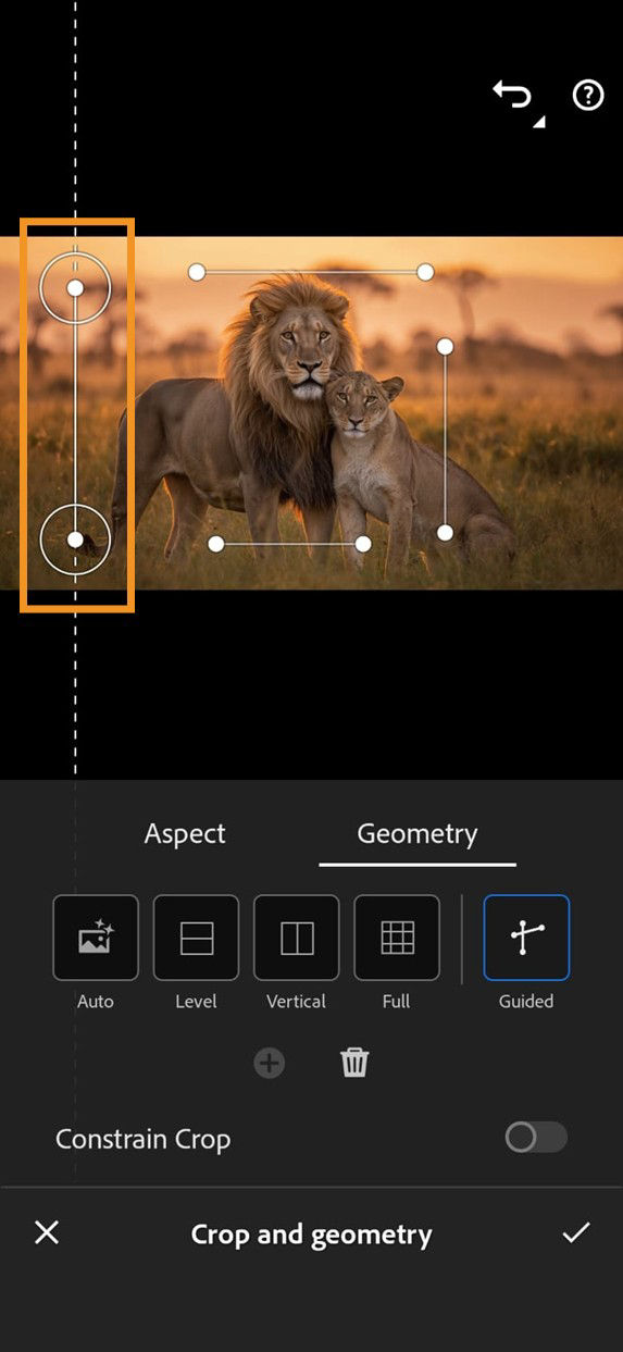 Crop and geometry panel showing the Guided Geometry tool selected. Four guide lines are placed beside an image to adjust and correct image perspective.