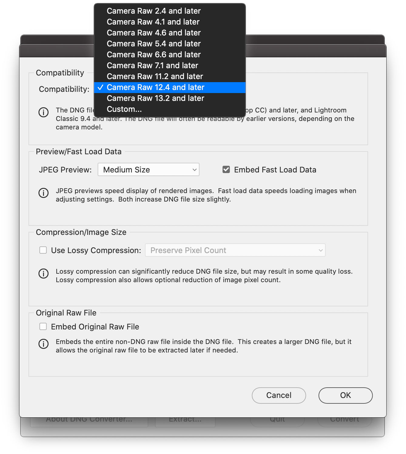 DNG converter compatibility preference