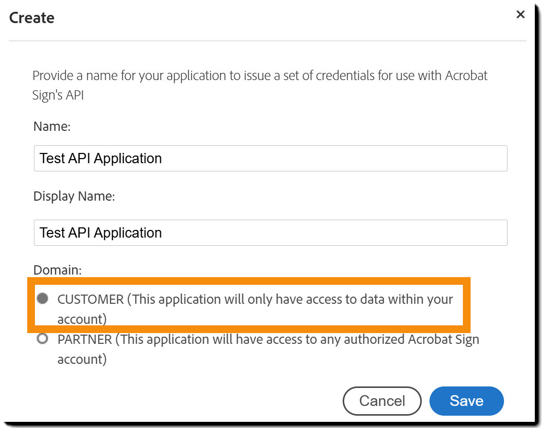 The application creation form with the CUSTOMER domain highlighted.