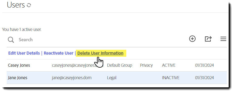 The Users tab with an inactive user options exposed and the Delete User Information link highlighted