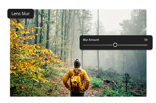 Photo of a person hiking in a forest