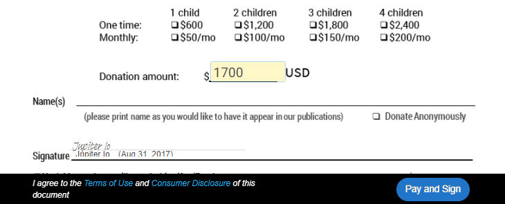 Recipient view of the recipient defined field