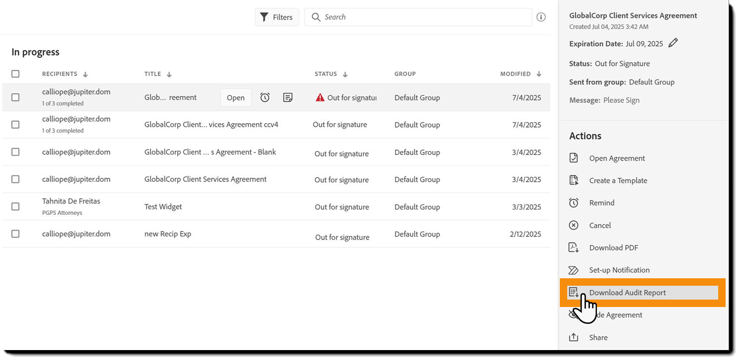 Download audit report
