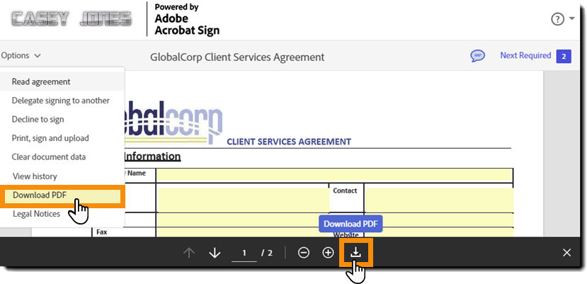 The e-sign page with the Options menu expanded and the "Download PDF" option highlighted.