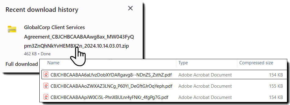 An example of the zip file, highlighting the name, and an inset of the actual PDFs inside the zip file.