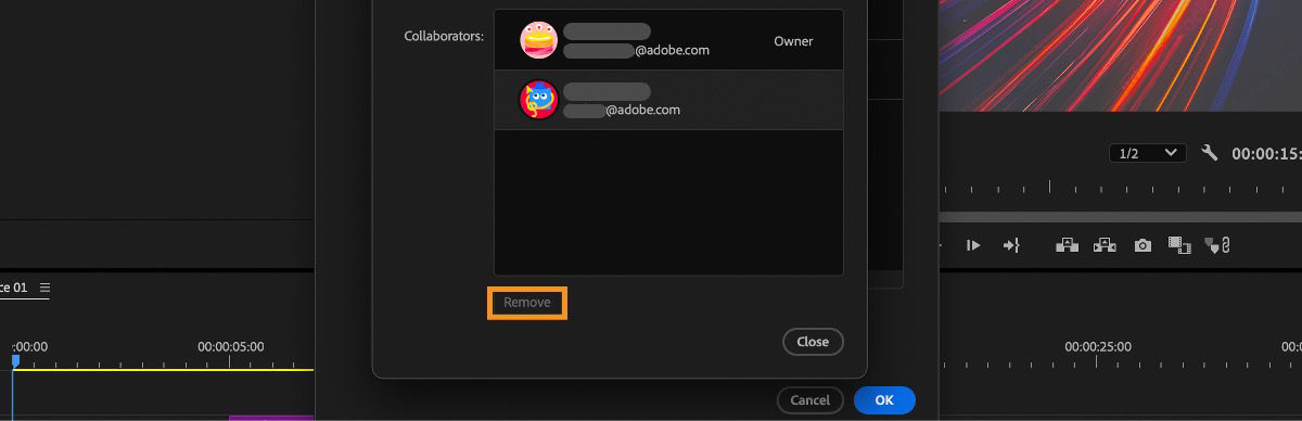 Edit Collaborators dialog box under the Team Project Settings is open and there are list of collaborators for you to select and remove from the Team Projects.