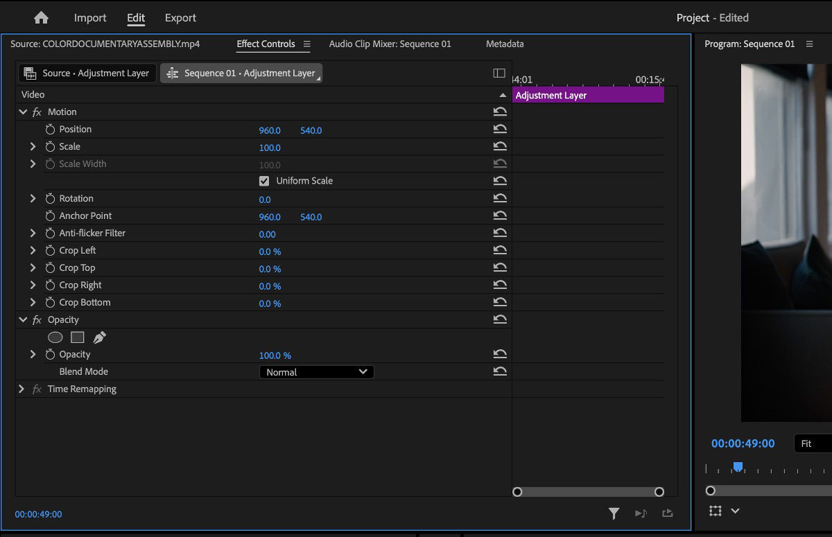 Effect Controls panel with the Motion section expanded, showing Scale and Position properties for the adjustment layer.