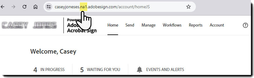 An Adobe Acrobat Sign URL with the instance highlighted.