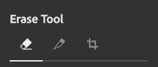 An image showing the erase tool group from the top of the Palette when the Erase tool is selected.