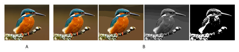On the left is an image of the bird before tracing, and on the right are four trace results using different presets.