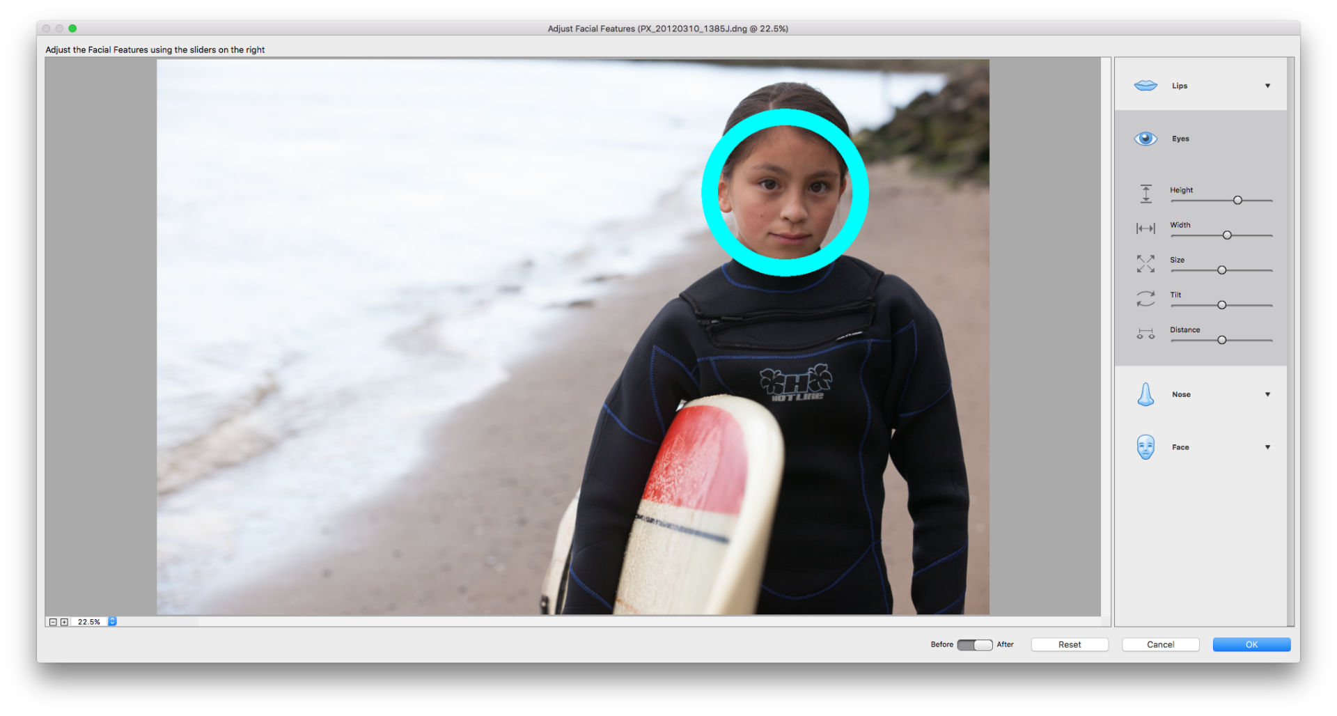 Ретушь и коррекция фотографий в Photoshop Elements