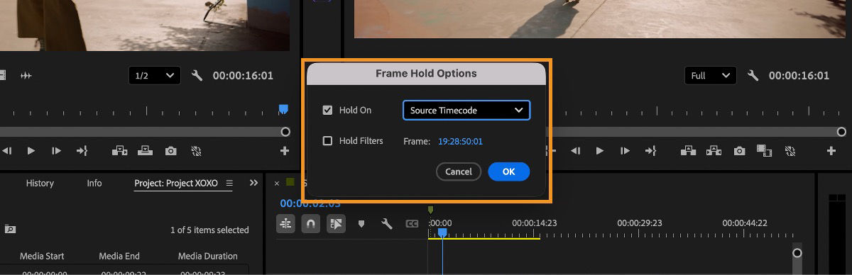 Frame Hold Options dialog showing Hold On set to Source Timecode, with a frame timecode value and Hold Filters option.