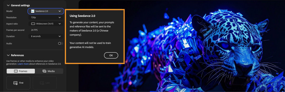 Generate video page shows Seedance 2.0 selected as the model and a partner model information dialog.